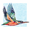 hhwolter's avatar
