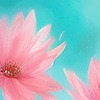 Hibiscus1414's avatar