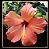 hibiscusplz's avatar