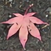 hikari-grox's avatar