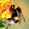 hipsterwholovesbees's avatar