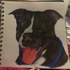 Holly89272's avatar