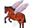 HollyStarGirl's avatar