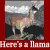 holo-demon09's avatar