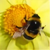 HoneyBee106's avatar