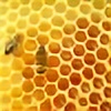 honeycomb382's avatar