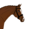 Horse-Art-Online's avatar