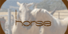 Horse-Resources