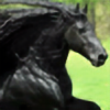 HorseAddict4Life's avatar