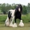 horsechick015's avatar
