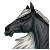 HorseCrazyGirl4444's avatar