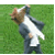 horseheadplz's avatar