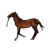 HorseKrazy's avatar