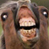 Horselover500's avatar