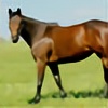 Horselover65093's avatar