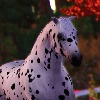 HorseLoverBabe1212's avatar