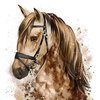 HorseLovers1's avatar