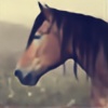 horseluvr371's avatar
