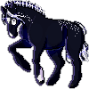 horserider201's avatar