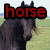 horseriders119's avatar