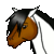 Horses-101's avatar