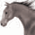 Horses-4-Ever's avatar
