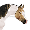 Horses-Are-Real's avatar