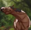 horses4life1's avatar