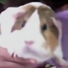 horsesareawepic's avatar