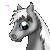 horseshoegirl12's avatar