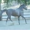 HorseStockPhotos's avatar