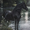 HorseWhisperers's avatar