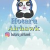 HotaruAirhawk's avatar