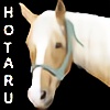 HotaruOkami's avatar