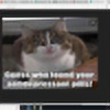HousecatDaHousecat's avatar