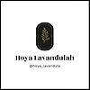 HoyaLavandulah's avatar