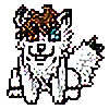 hpneko's avatar