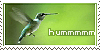Hummingbird-Fans's avatar