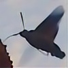 hummingbird7's avatar