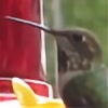 hummingbirdsHD's avatar