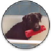 hundone's avatar