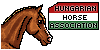 Hungarian-Horse's avatar