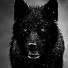 HungryHornyWerewolf's avatar