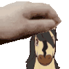 HuStonnn's avatar
