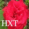 HXT's avatar
