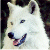 hybrid-wolf's avatar
