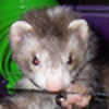 HyperFerretplz's avatar