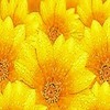 i0342q7i476's avatar