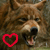 i-love-wolfy's avatar