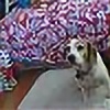 i-r-beagle's avatar
